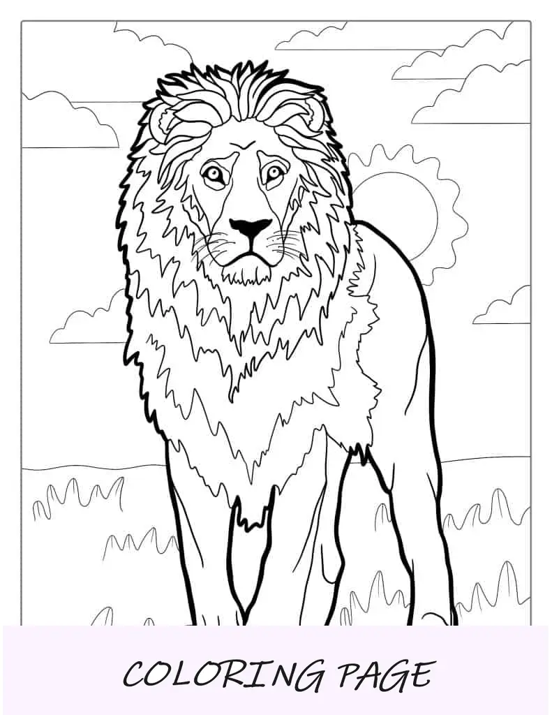 Folha para colorir masculina do leão do orgulho