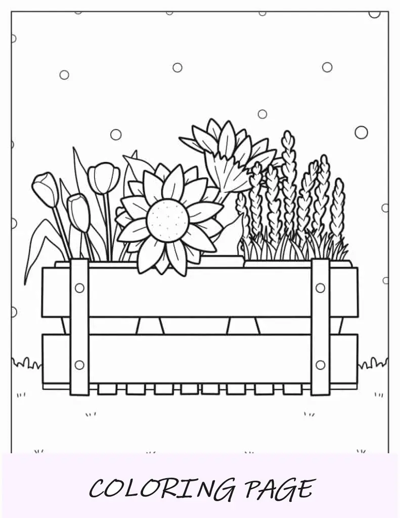 Contorno de flores en jardinera para colorear