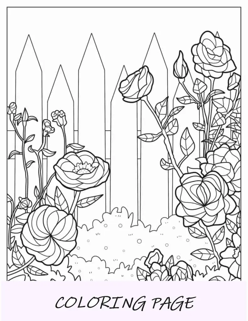 Jardín De Rosas Página Para Colorear