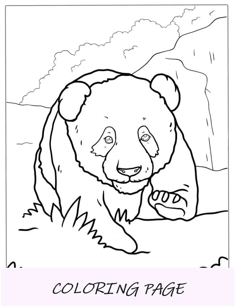 Folha para Colorir Bebê Panda Andando na Grama