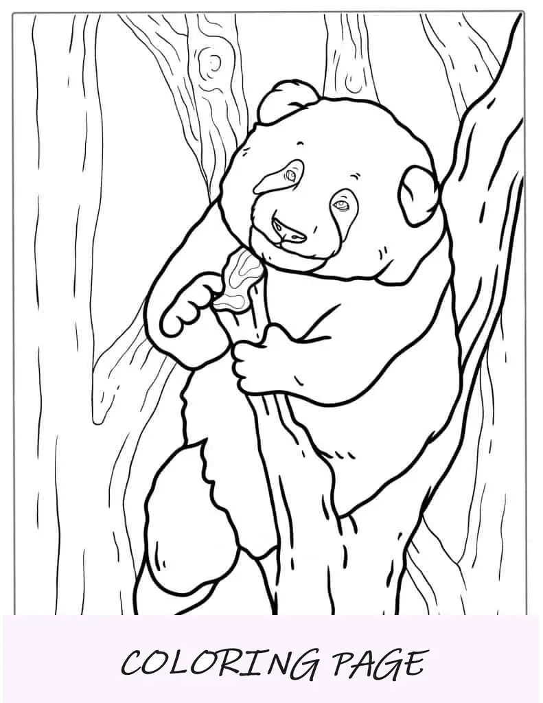 Bebê Panda descansando na árvore para colorir