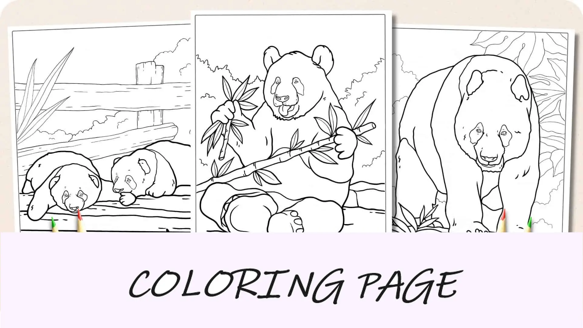 Imagem em destaque de páginas para colorir Panda