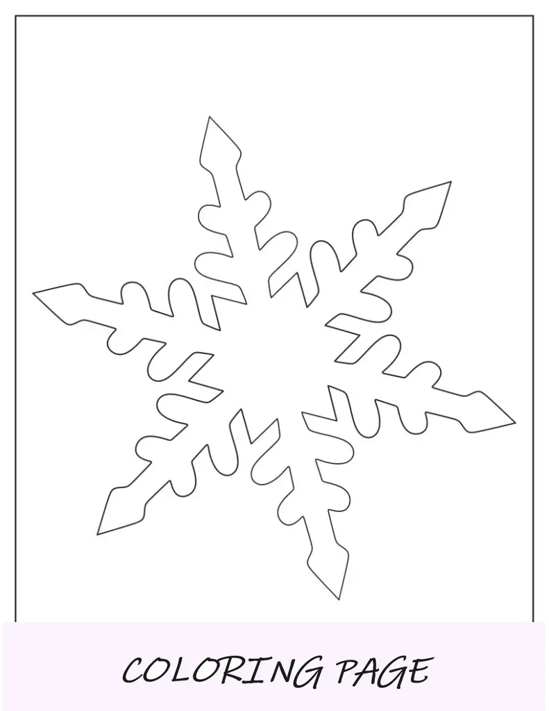 Modelo de floco de neve estelar de duas meia página