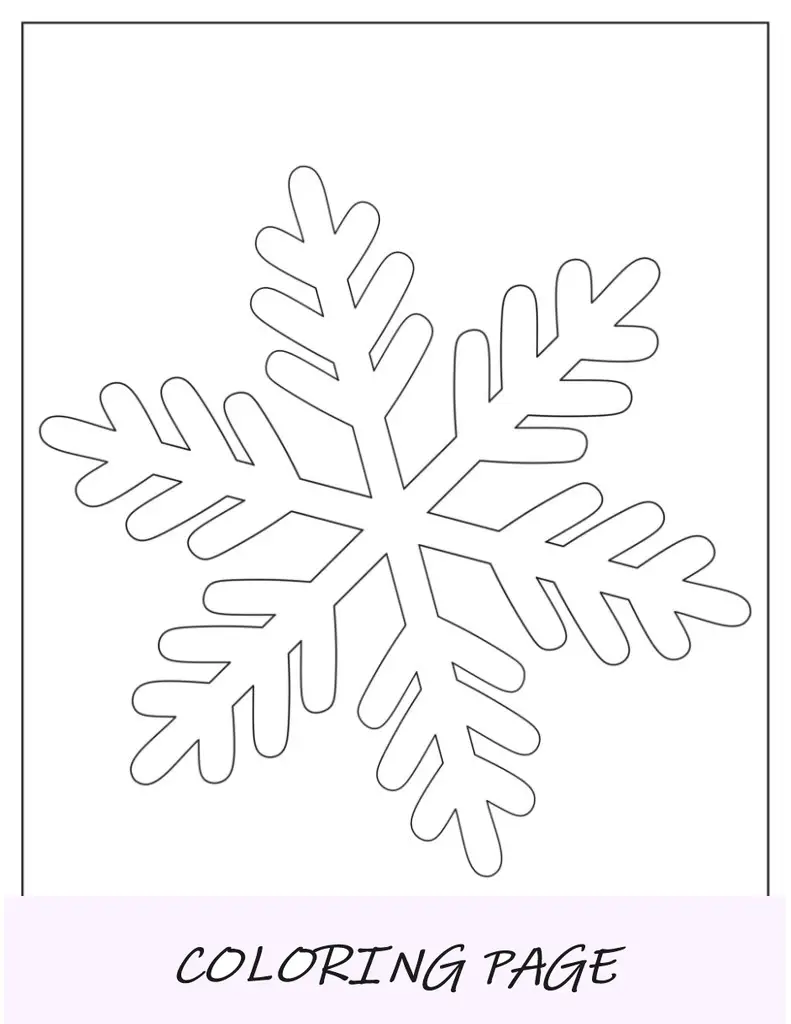 Modelo de flocos de neve com agulhas de samambaia de meia página