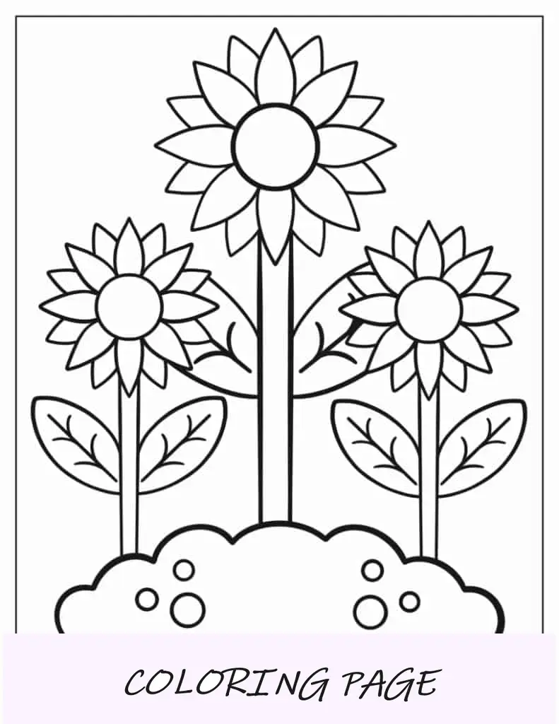 Girasoles de belleza otoñal simples para colorear para niños en edad preescolar