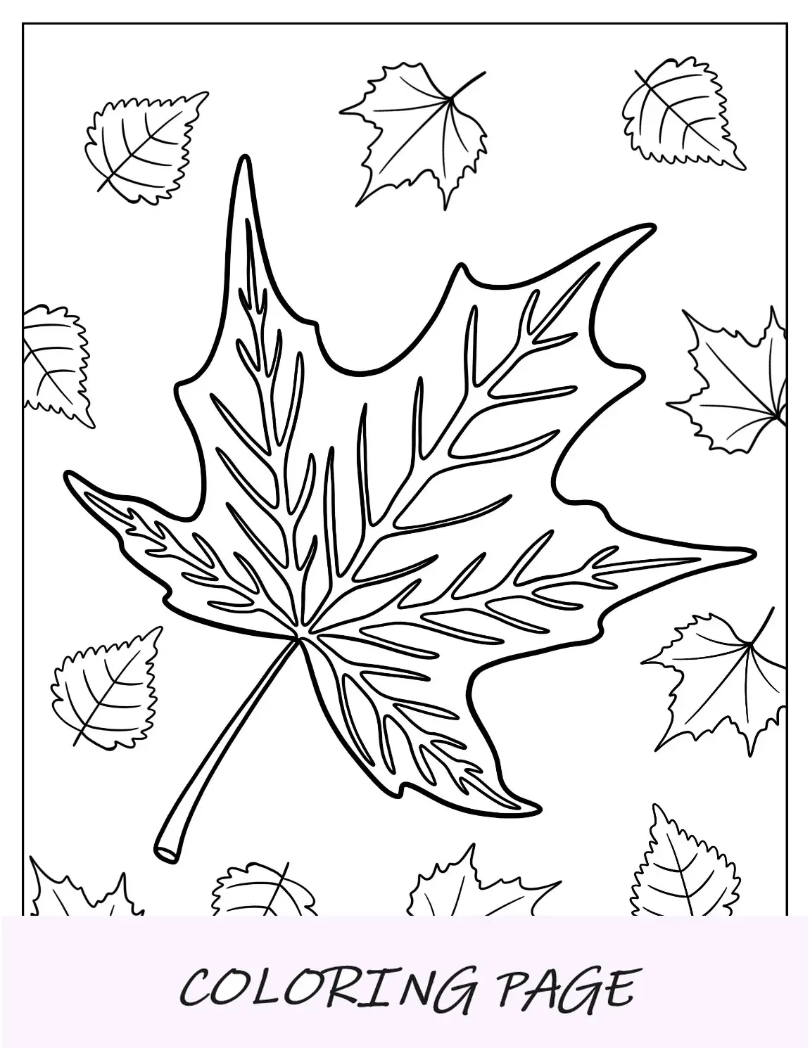 Página para colorear de otoño de hoja de arce realista en otoño
