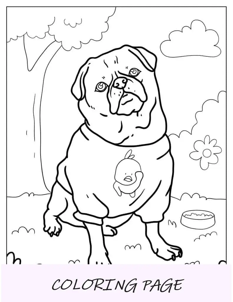 Lindo Pug con un suéter para colorear