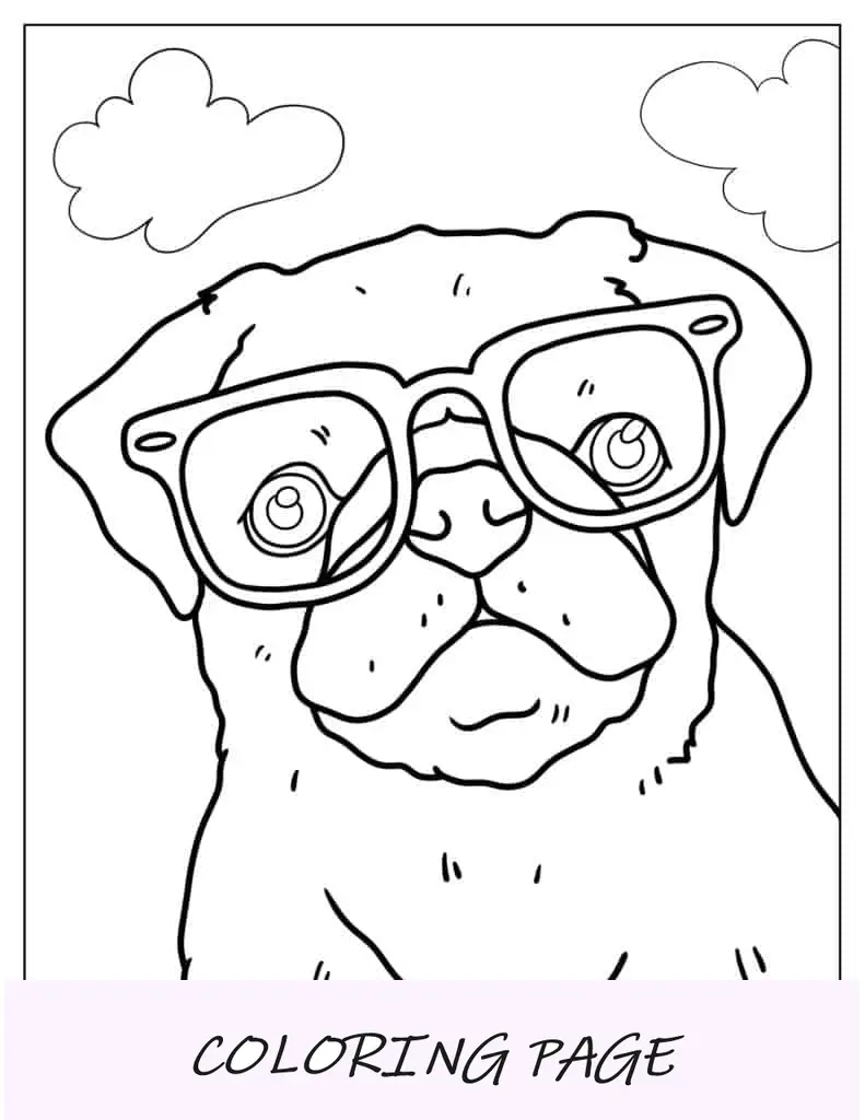 Lindo Pug Con Gafas Para Colorear