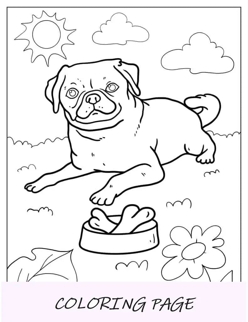 Pug feliz descansando al sol para colorear