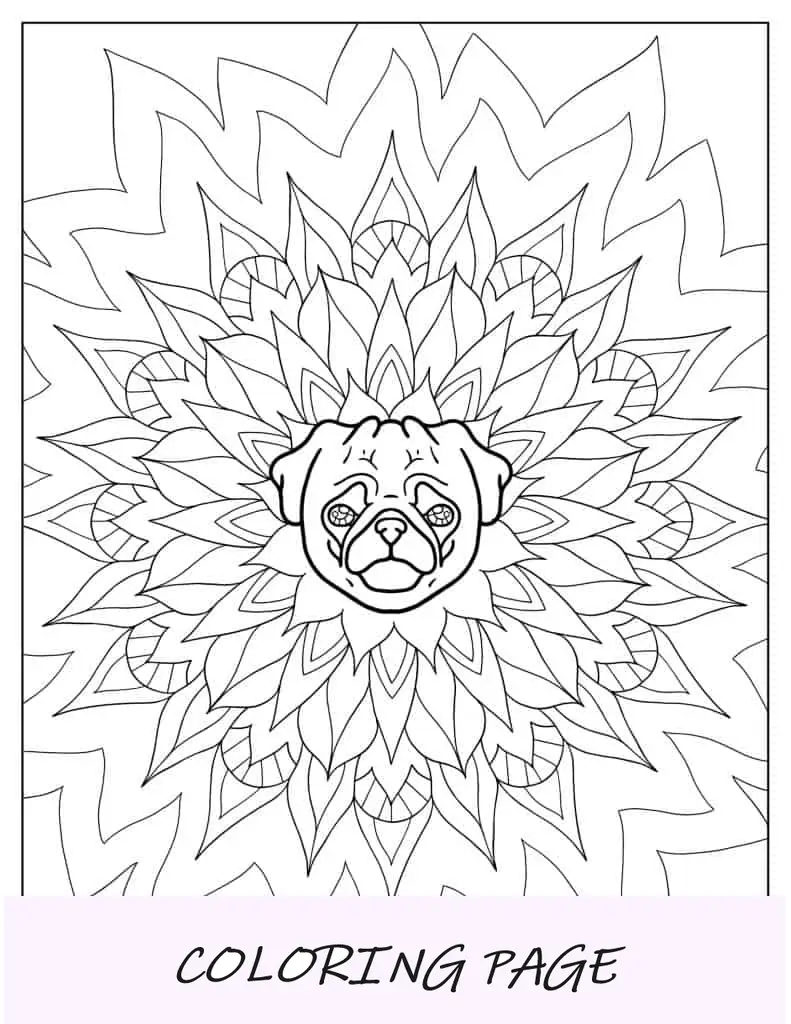 Hoja para colorear de mandala Pug