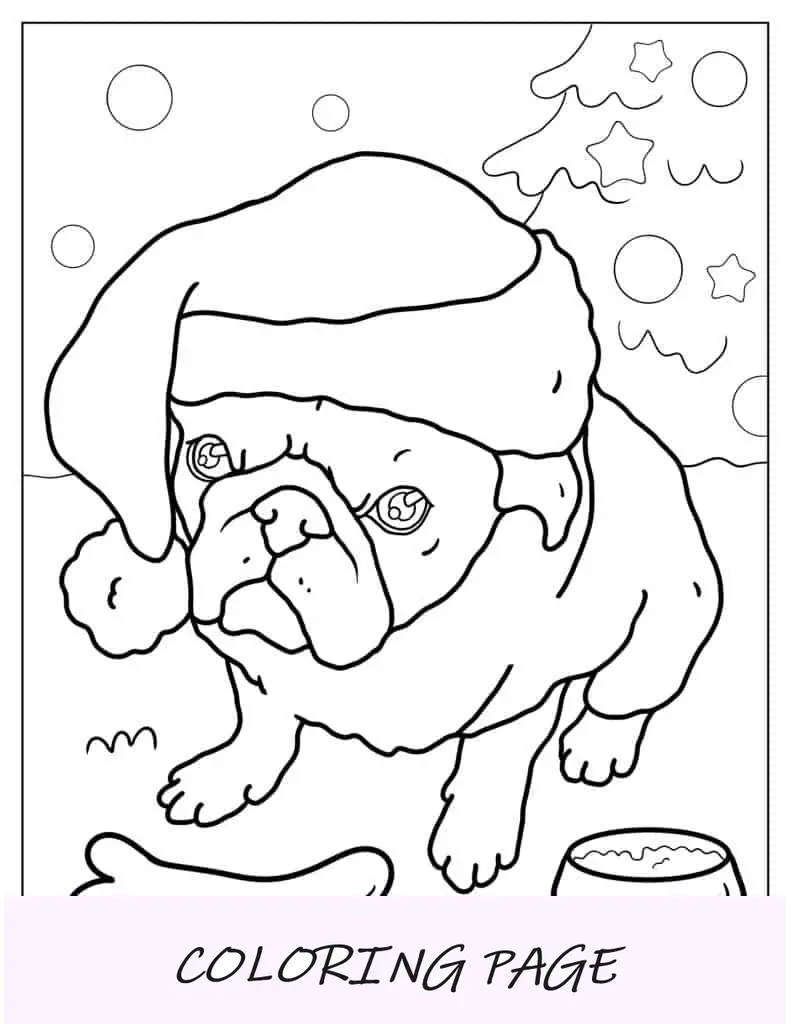 Pug con gorro de Papá Noel durante la Navidad