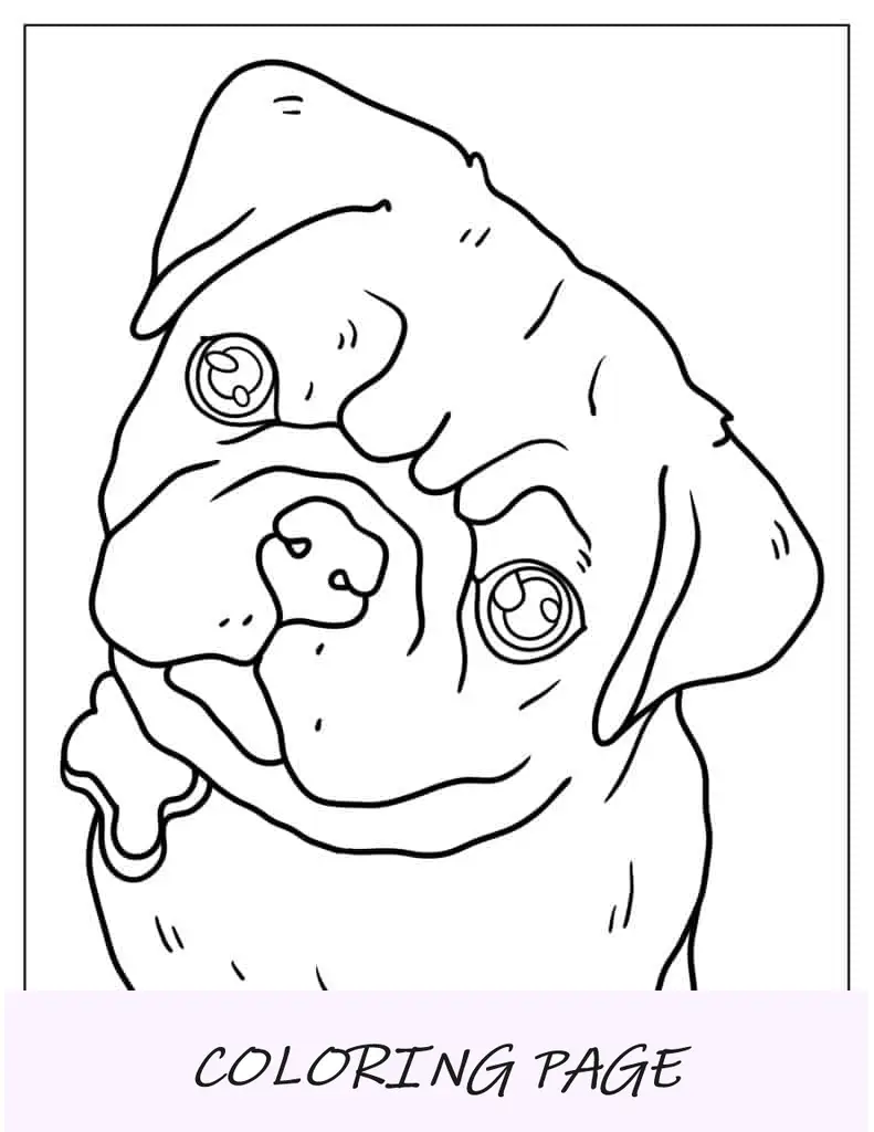 Pug con lindos ojos de cachorro para colorear