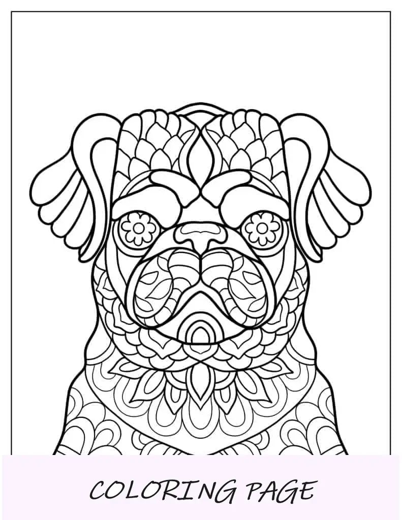 Pug Zentangle para colorear para adultos