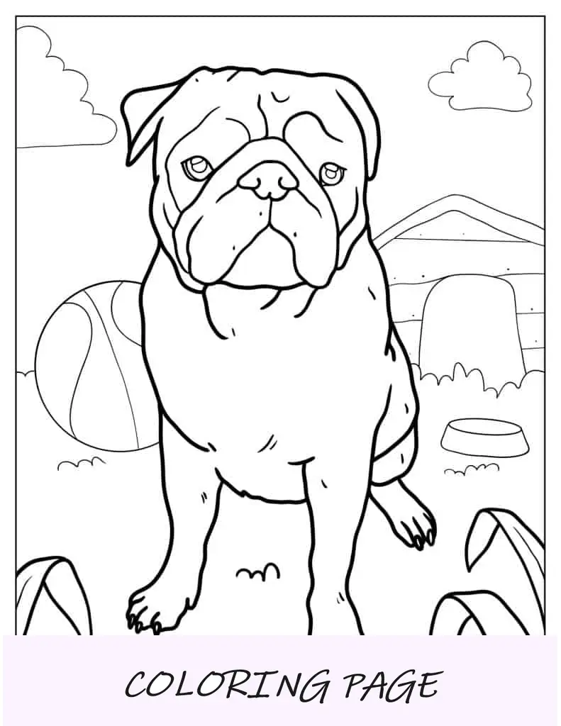 Pug de aspecto realista con pelota para colorear