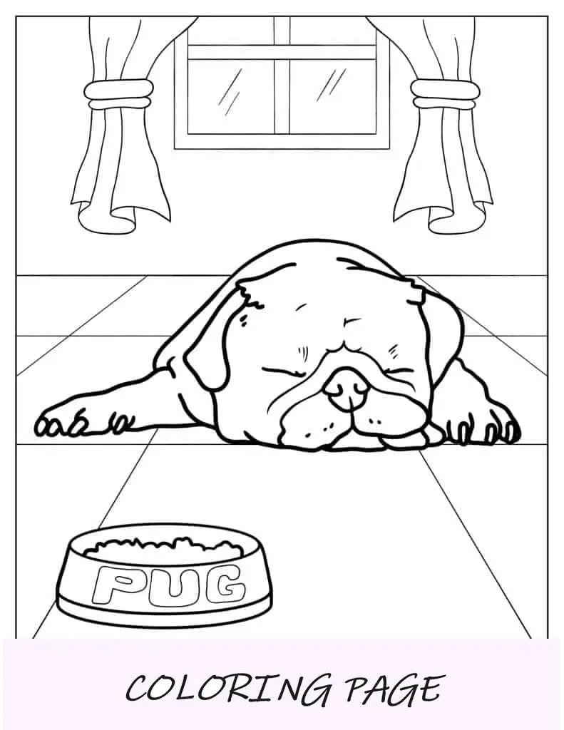 Adorable Pug durmiendo delante del cuenco