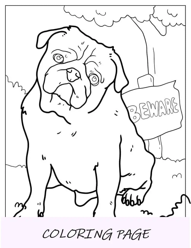 Cuidado con la hoja para colorear Pug