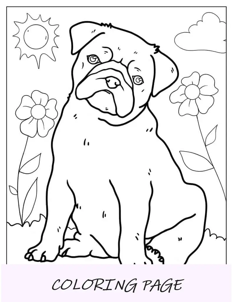 Hoja para colorear de un Pug en un campo de flores