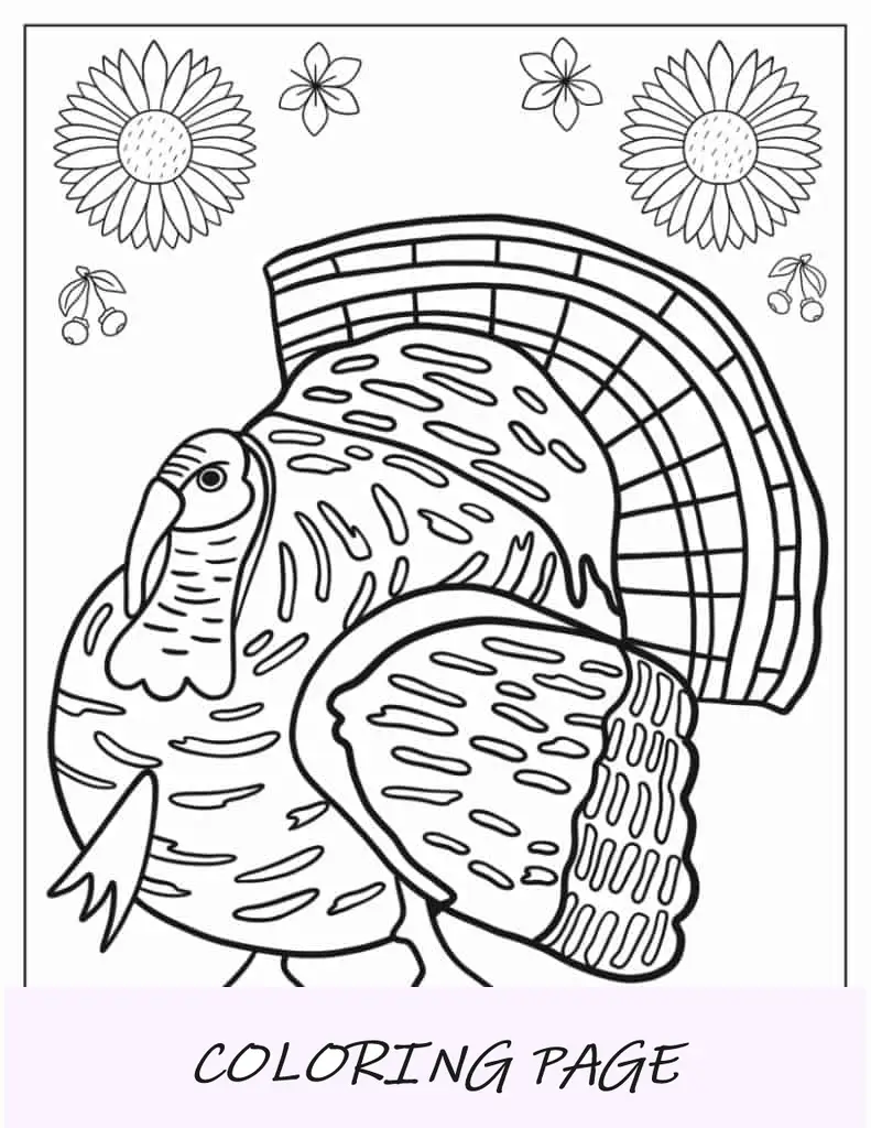 Pagina da colorare di tacchino selvatico