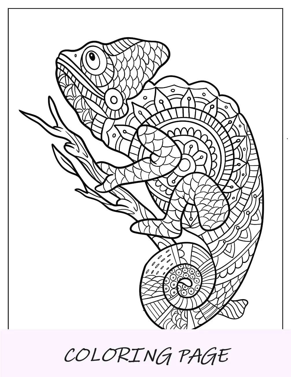 Chamäleon, Färbung, Seite, Mandala, Auf, Baum, Branch