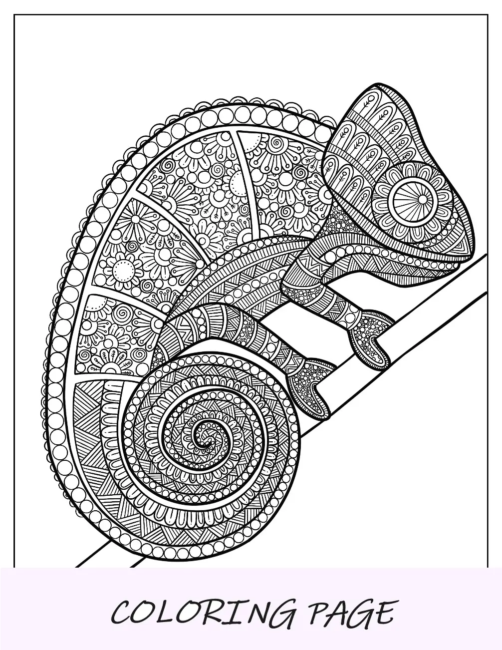 Kompliziertes Chamäleon-Malvorlagen-Mandala