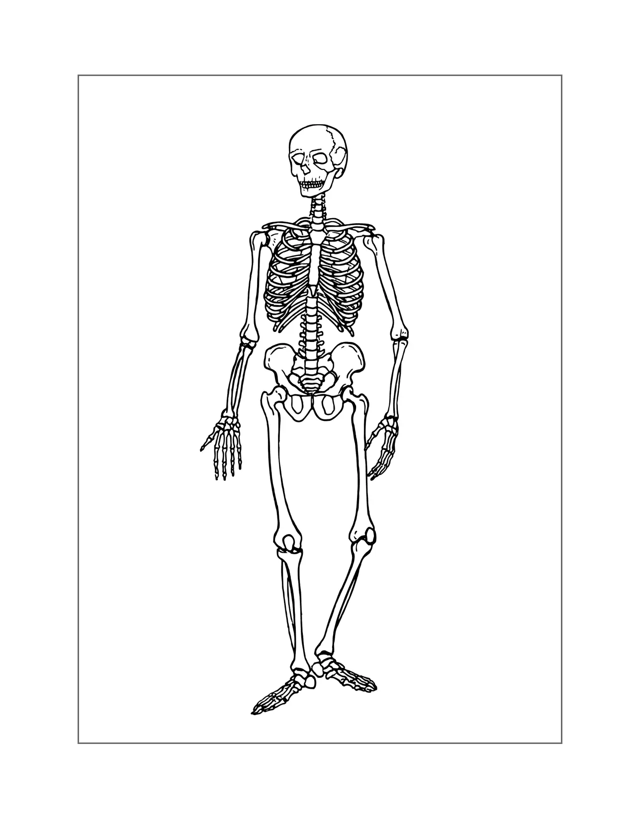 Skeleton Coloring Page