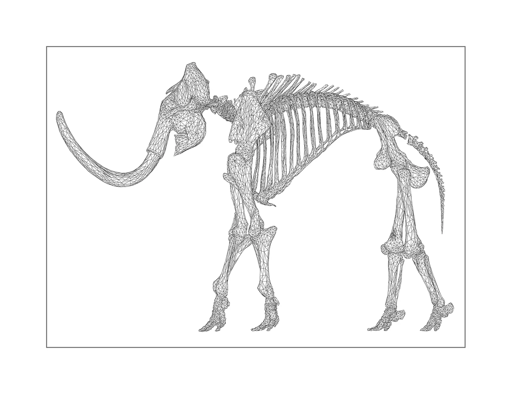 Museum Mammoth Skeleton Bones Coloring Page