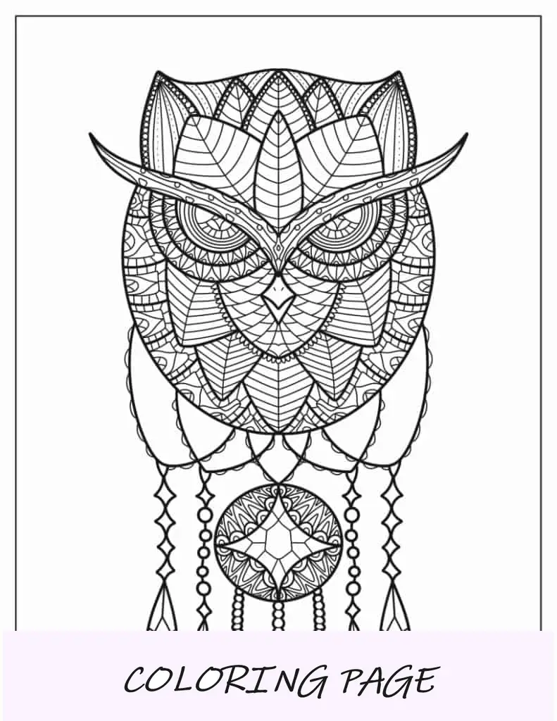 Eulen-Mandala-Traumfänger-Malseite