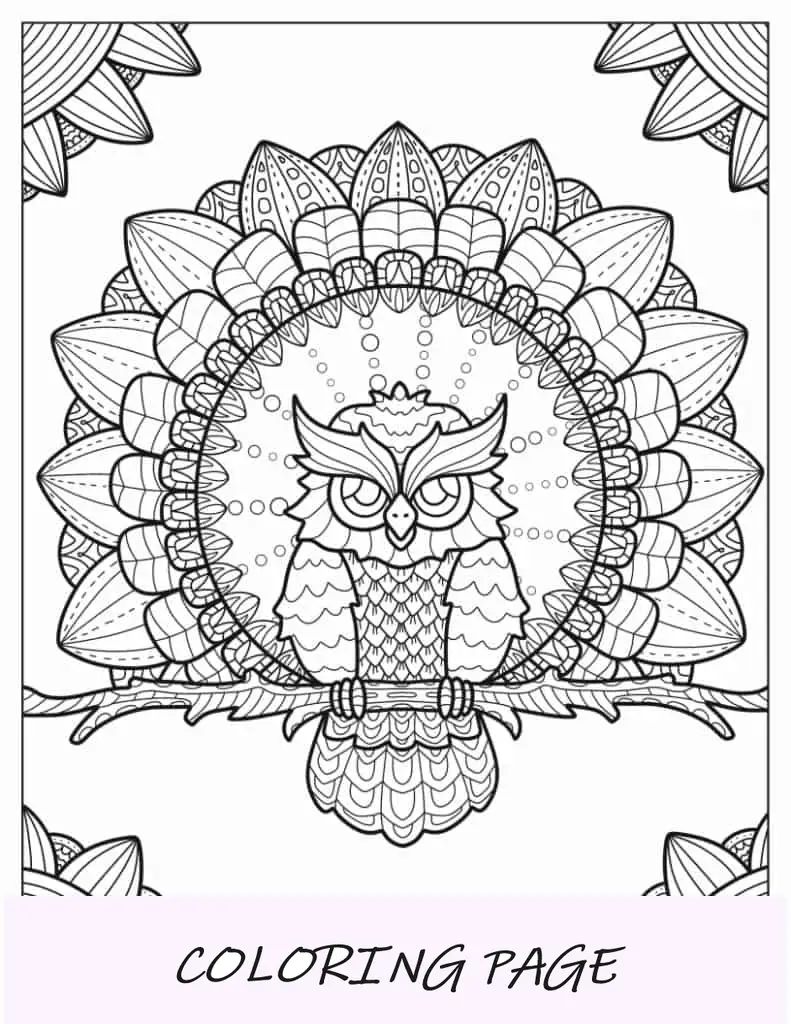 Kompliziertes Eulen-Mandala zum Ausmalen