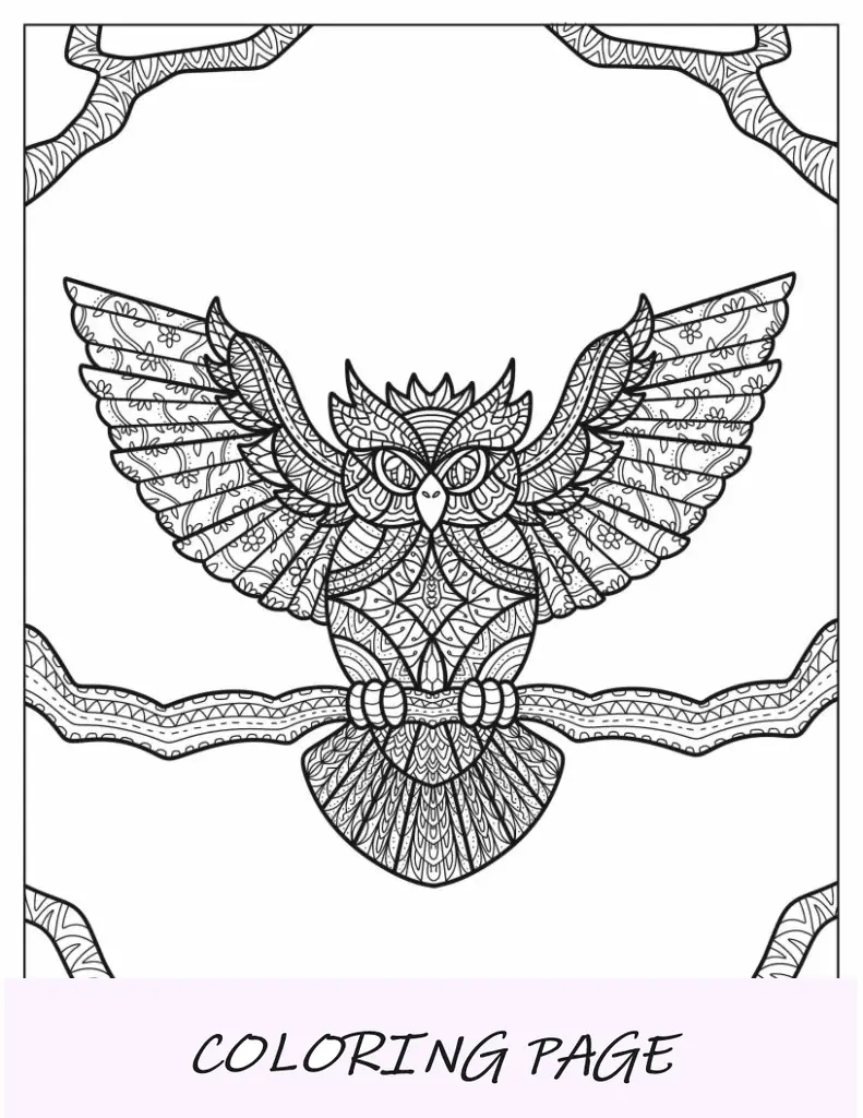 Mandala-Eule-Malseite