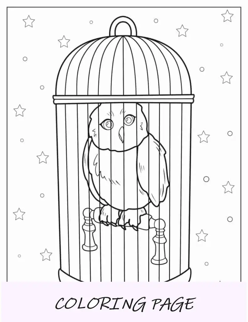 Harry Potter Hedwig Eule