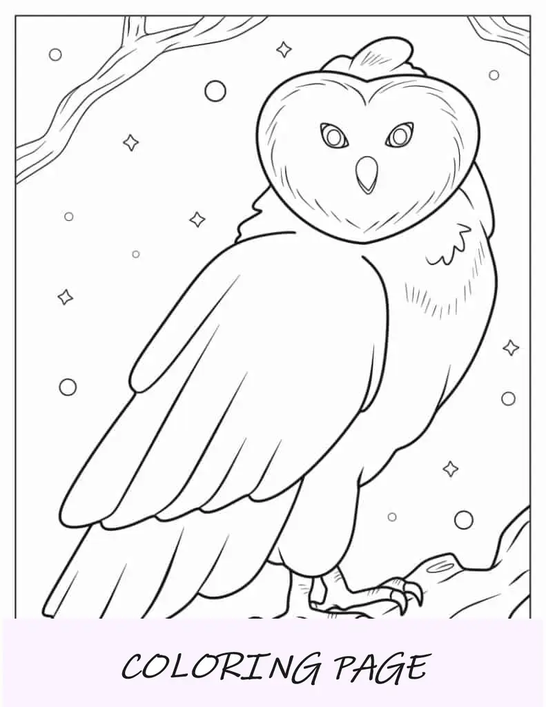 Einfache Schleiereule im Schnee zum Ausmalen