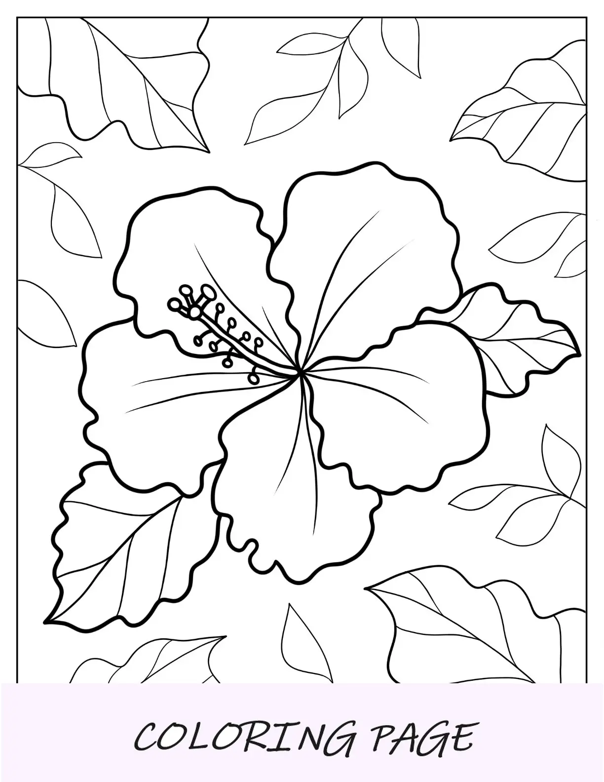 Desenhos para colorir de flores de Shoeblackplant em plena floração