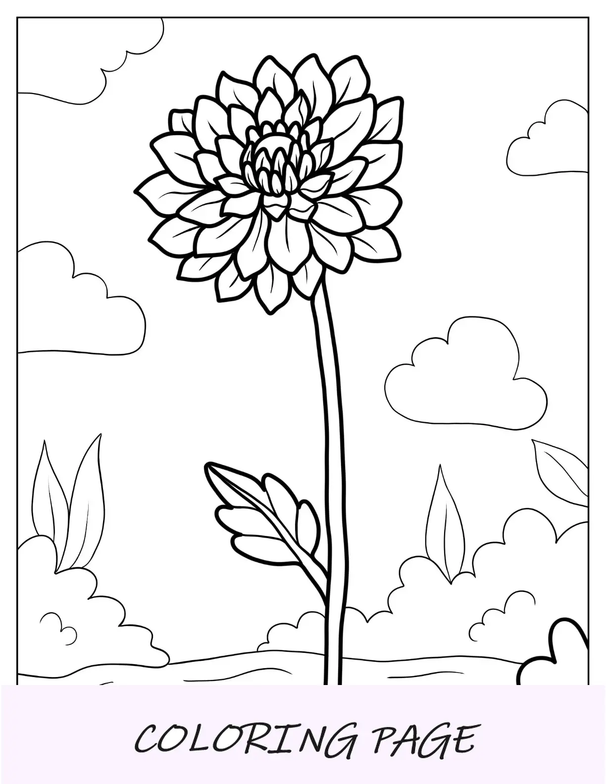 Desenhos de flores para colorir de crisântemo no campo