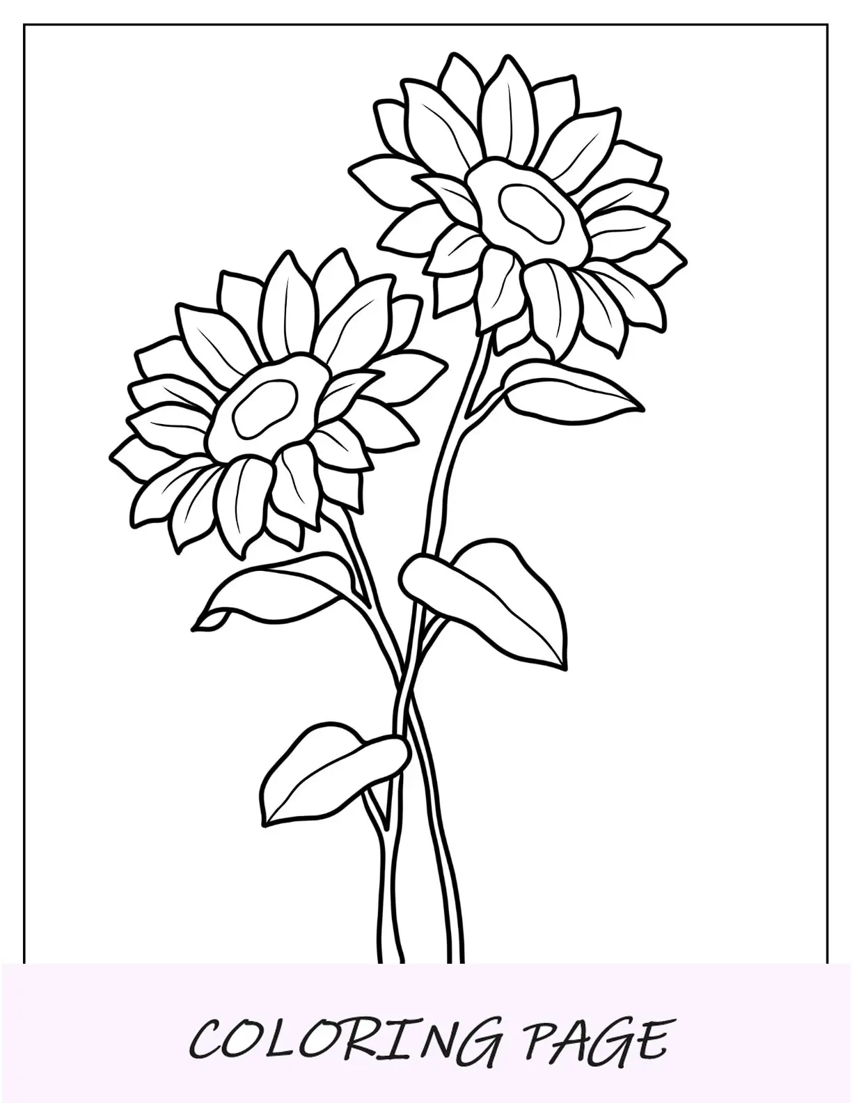 Desenhos para colorir de flores de dois girassóis grandes