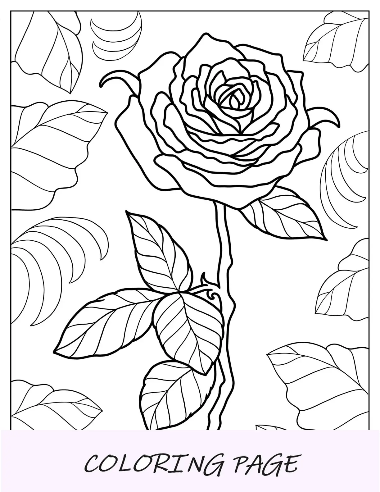 Desenhos para colorir de flores de rosa realista