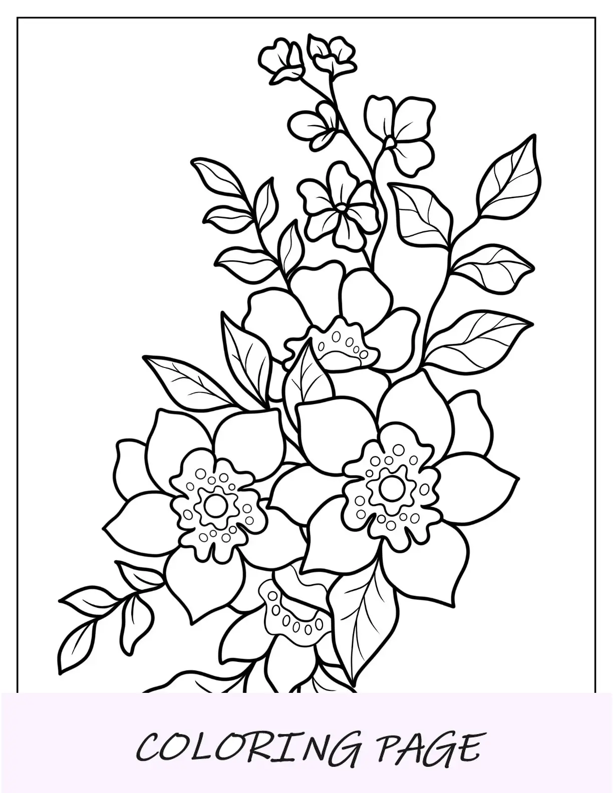 Desenhos para colorir de flores com contorno de lírios Mariposa