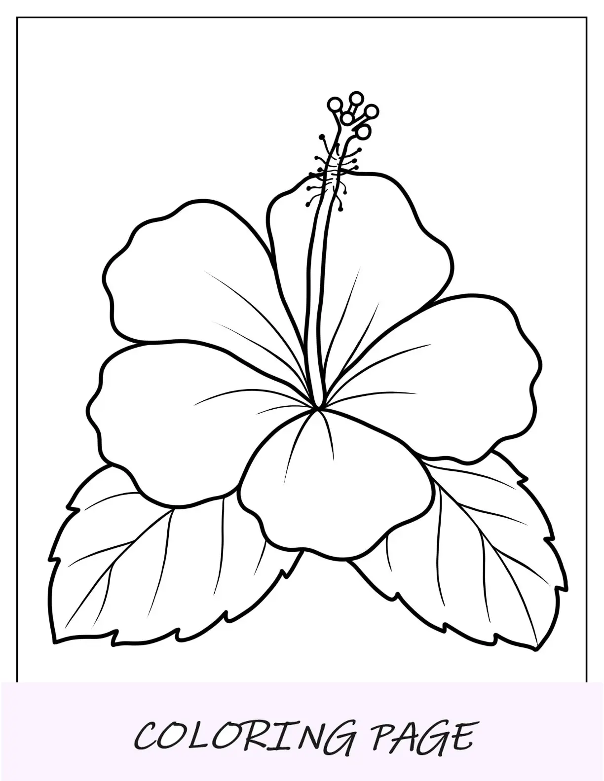 Desenhos para colorir de flores do contorno da rosa malva do pântano