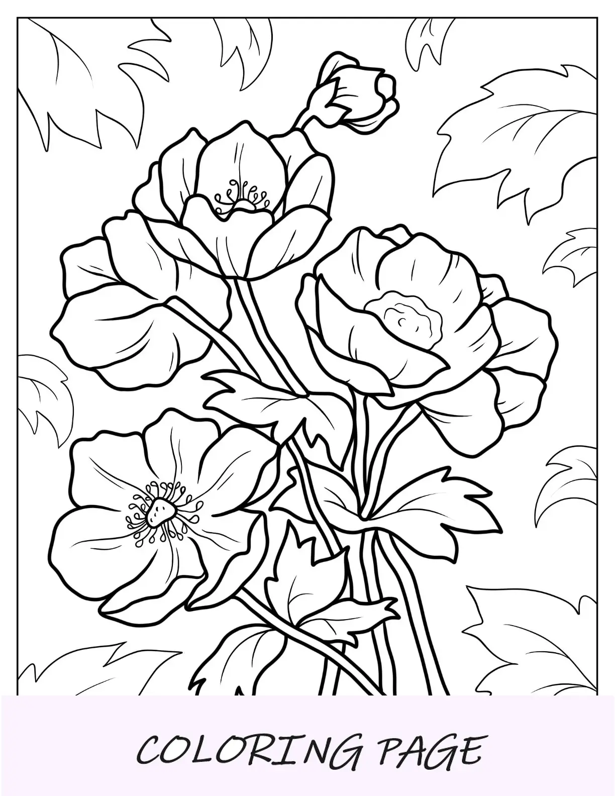 Desenhos para colorir de flores de anêmonas papoula
