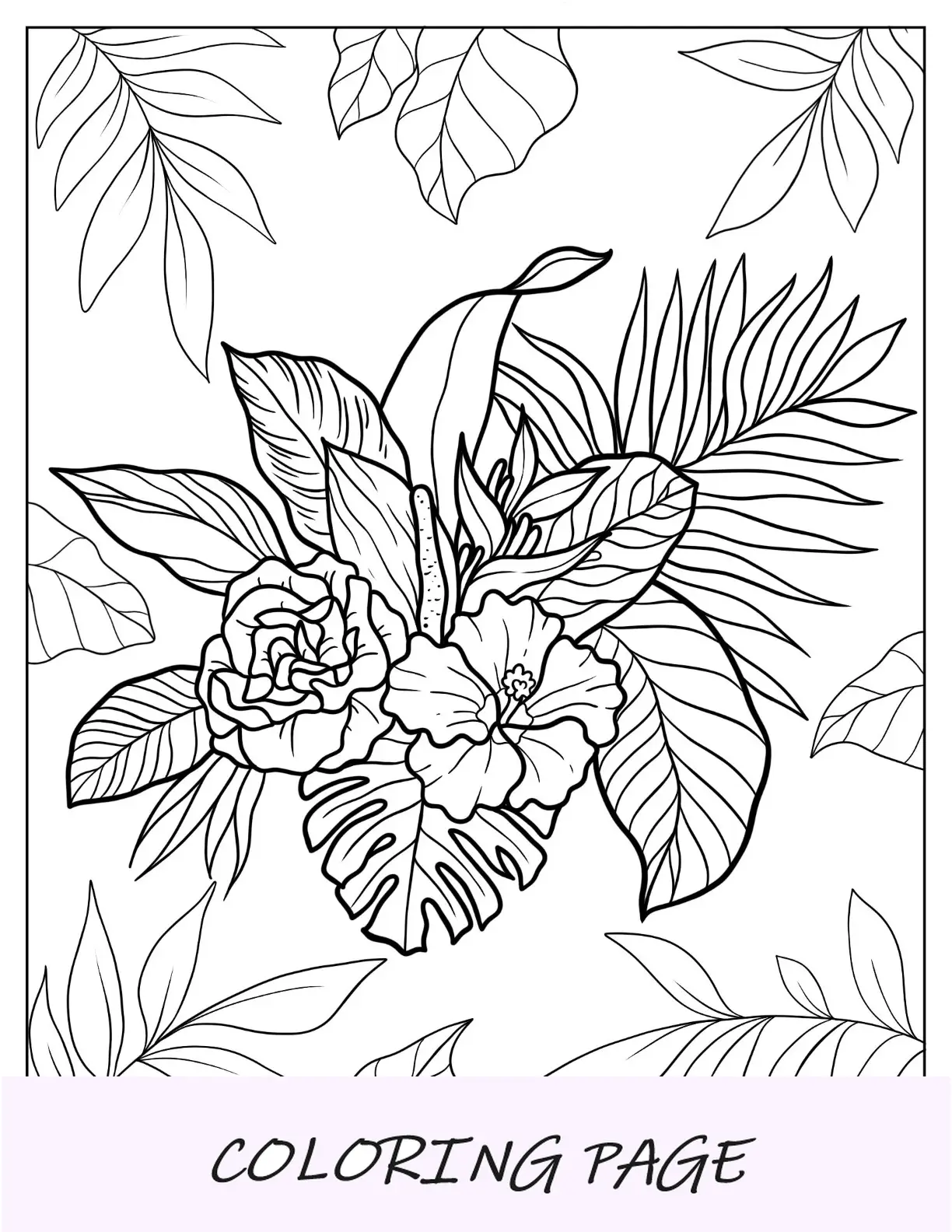 Páginas para colorir de flores de orquídea tropical exótica, Strelitzia, hibisco, Protea e Calathea