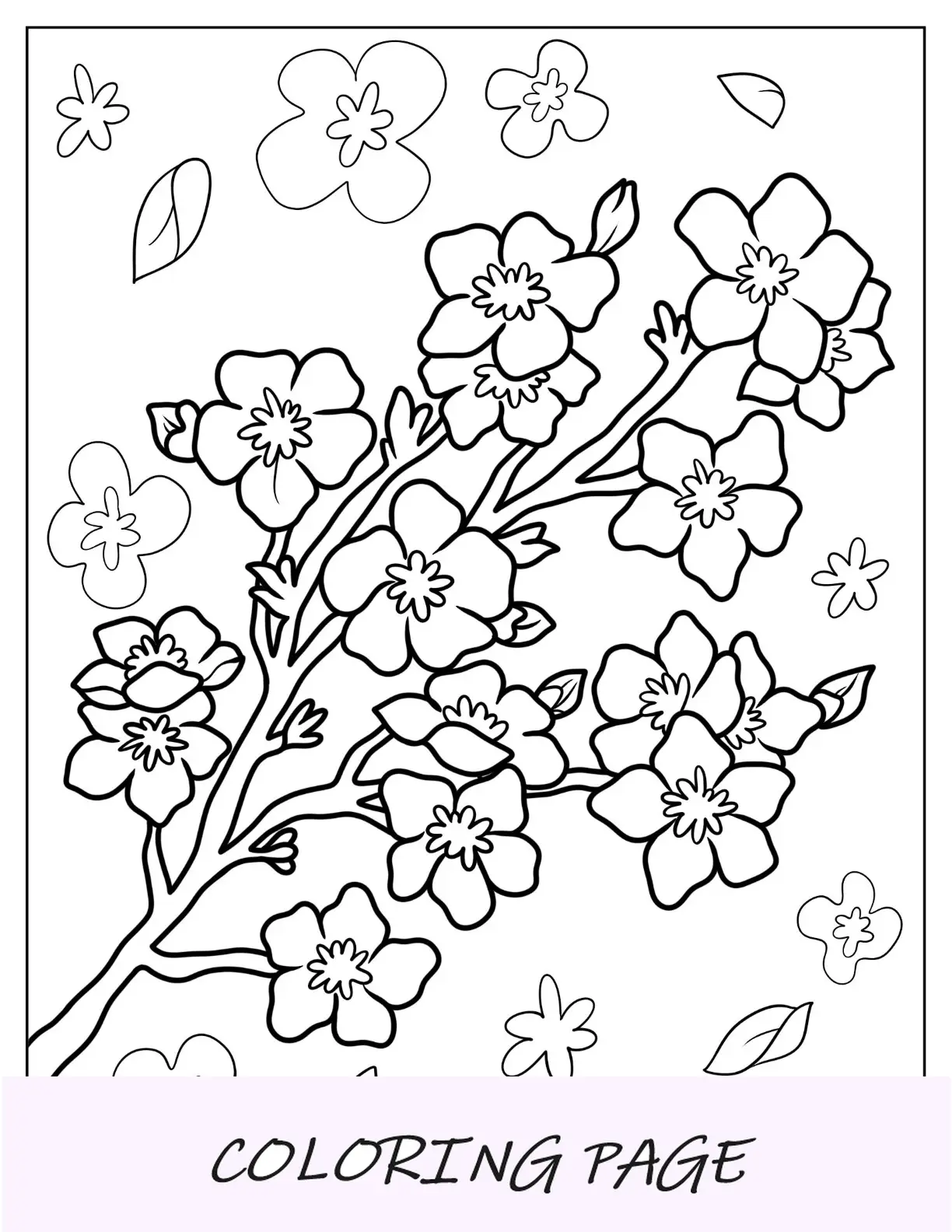 Páginas para colorir de flores de flores de cerejeira fáceis para crianças
