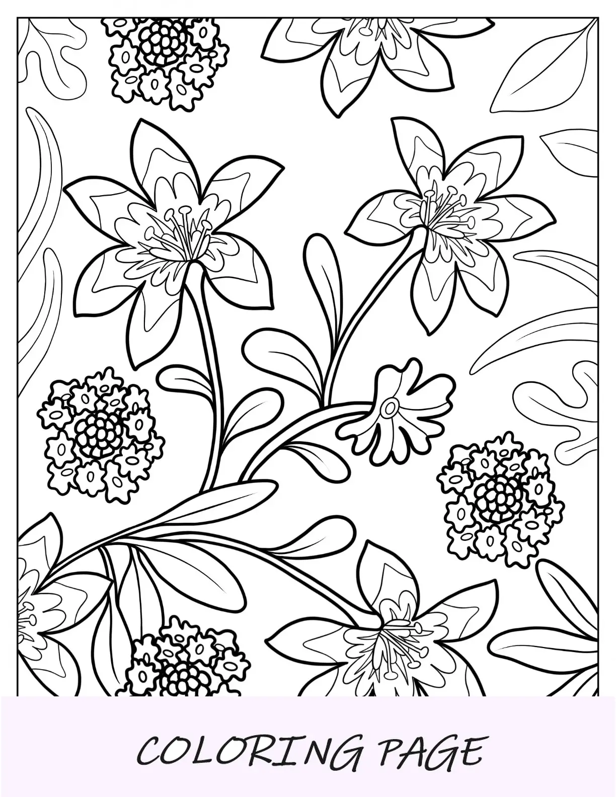 Desenhos para colorir de flores de lírios da Madonna