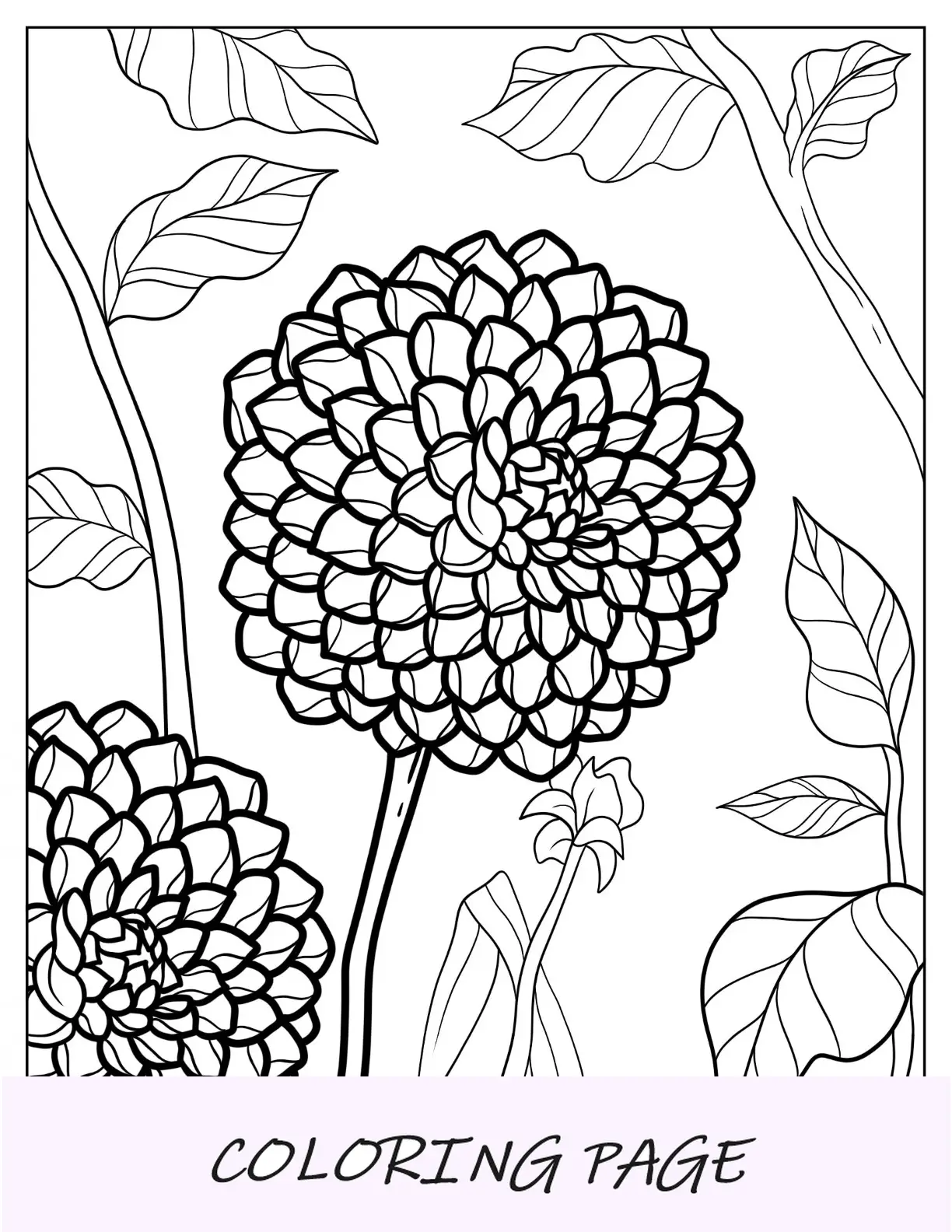 Desenhos para colorir de flores da dália bebê de Linda