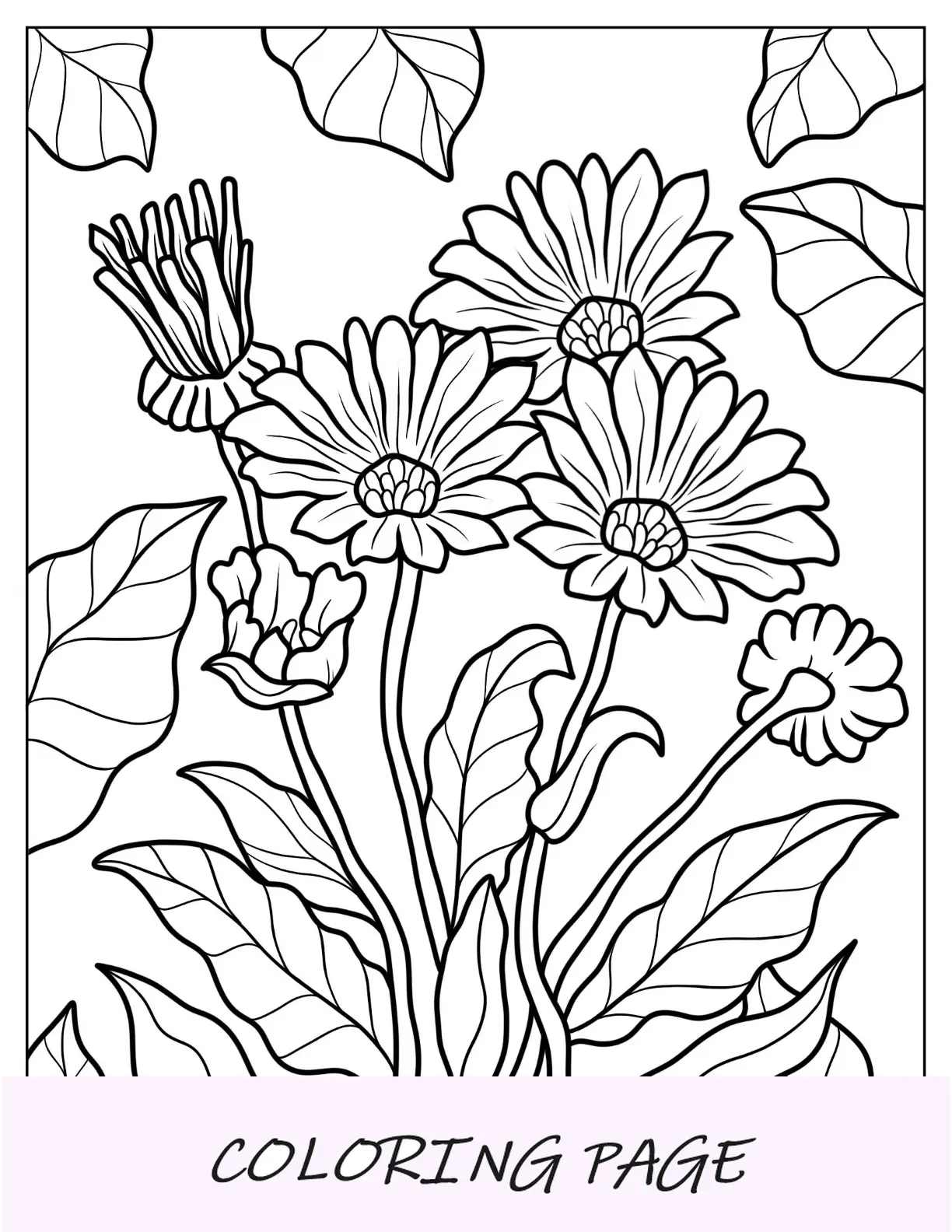 Páginas para colorir de flores de malmequeres realistas