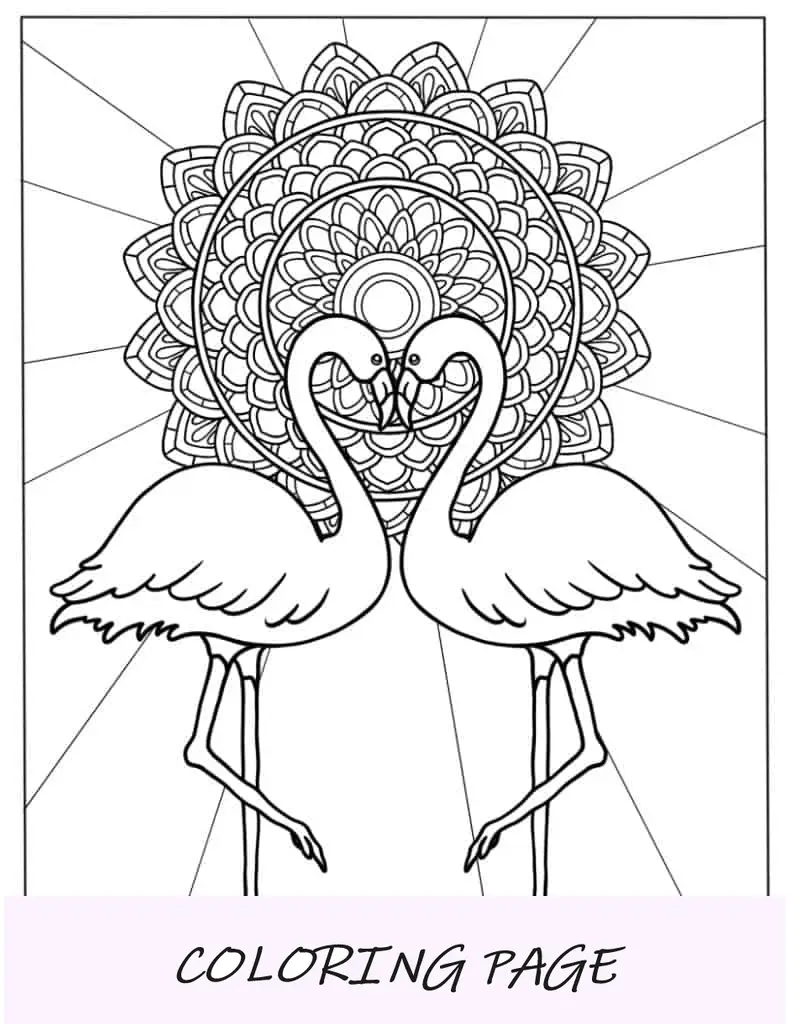 Mandala Flamingo Fácil