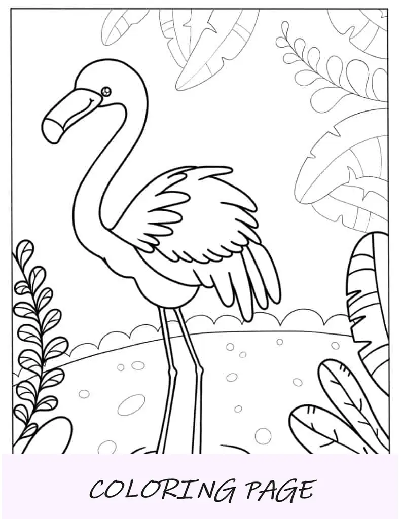 Flamingo fofo de desenho animado para colorir para crianças em idade pré-escolar
