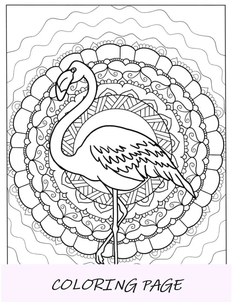 Mandala Flamingo para colorir para relaxar