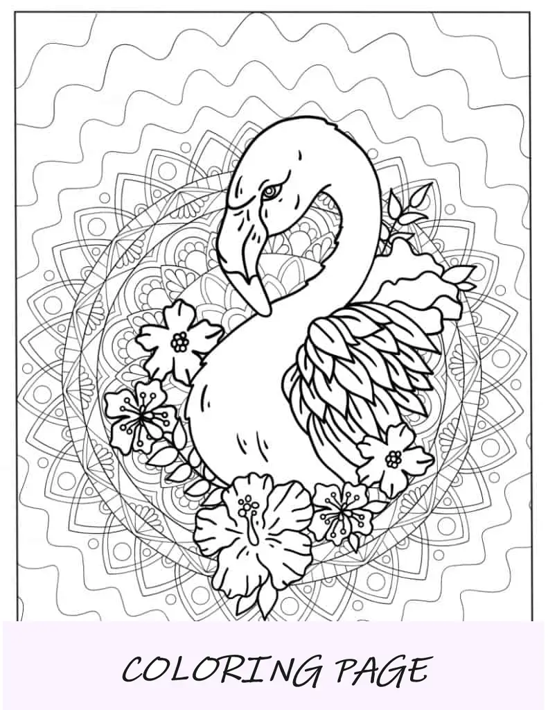 Página para colorir mandala flamingo