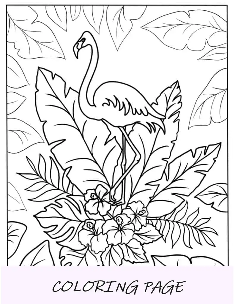 Página para colorir de um flamingo com tema tropical