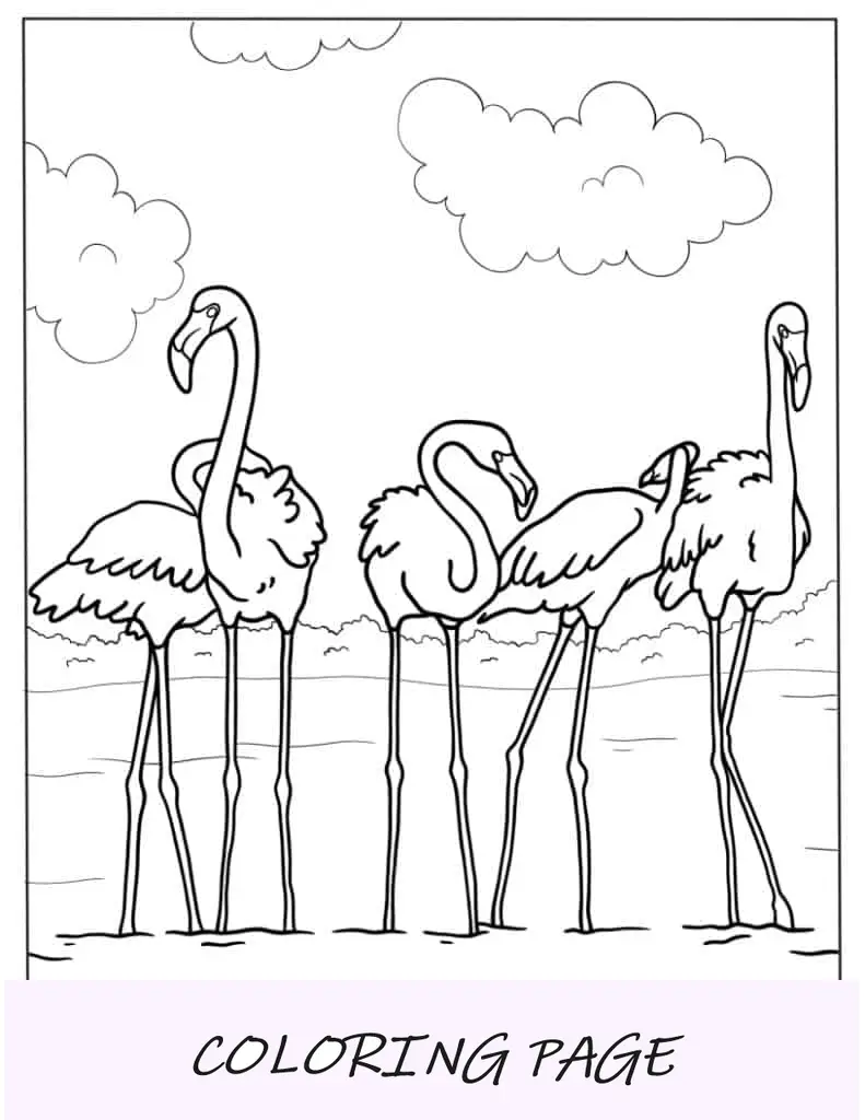 Desenho para colorir de uma extravagância de flamingos