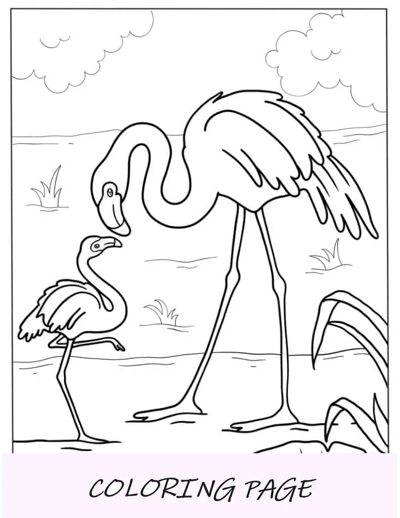 Flamingo mãe e bebê em água para colorir